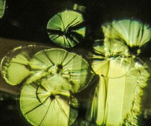 August Birthstone: The Vibrant Peridot